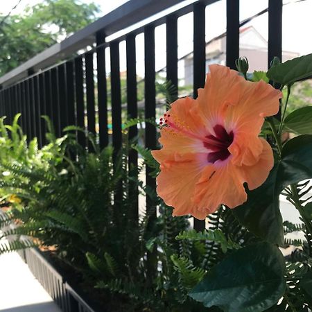 La An Homestay Hoi An Bagian luar foto