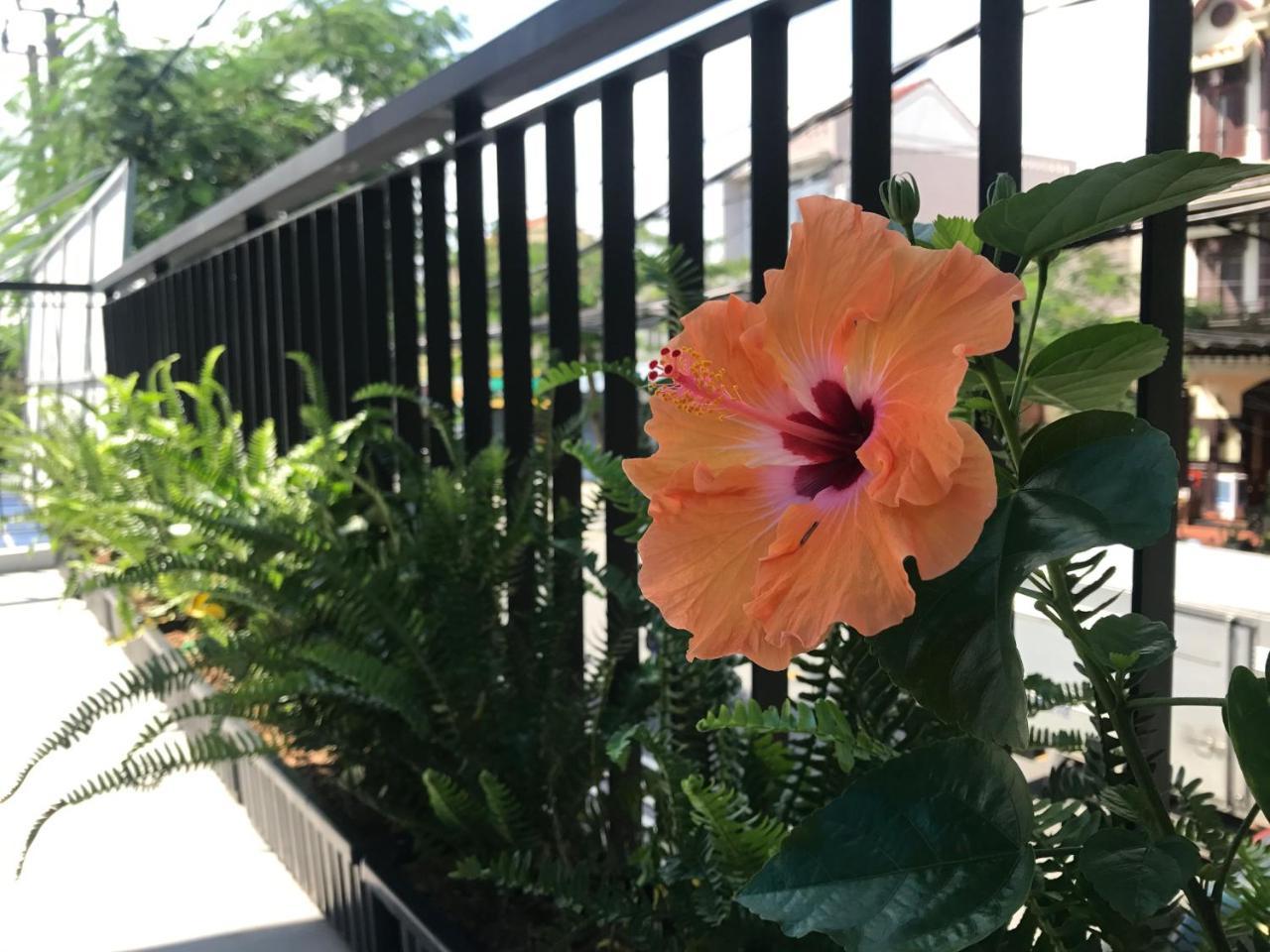La An Homestay Hoi An Bagian luar foto